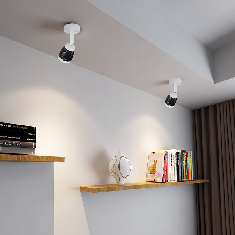 ��˹��led��װ���TSD-101