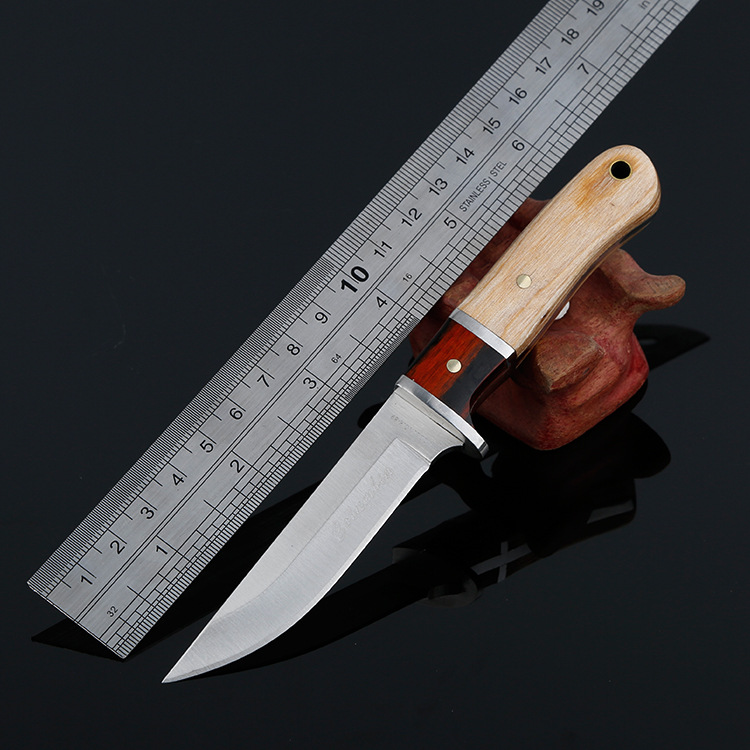 Outdoor small knife water fruit knife kitchen knives melon and fruit knife stainless steel multipurpose knife home peel knife cut fruit knife tea knife-Taobao