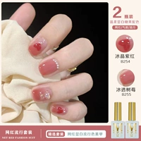 Ice Crystal Purple Red B254 + ледяная малина B255 10 мл