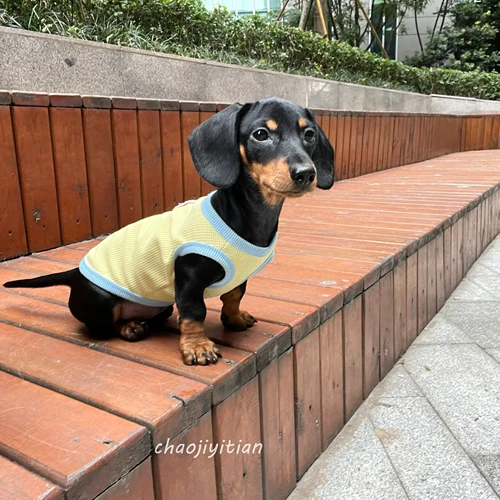Sausal Dog Одежда Summer Thin Thin Puppy Pet york york shelon malzis xishi dog cat summer wear летом