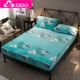 Giường nhung pha lê ấm áp dày 笠 đơn mảnh san hô lông cừu flannel trải giường