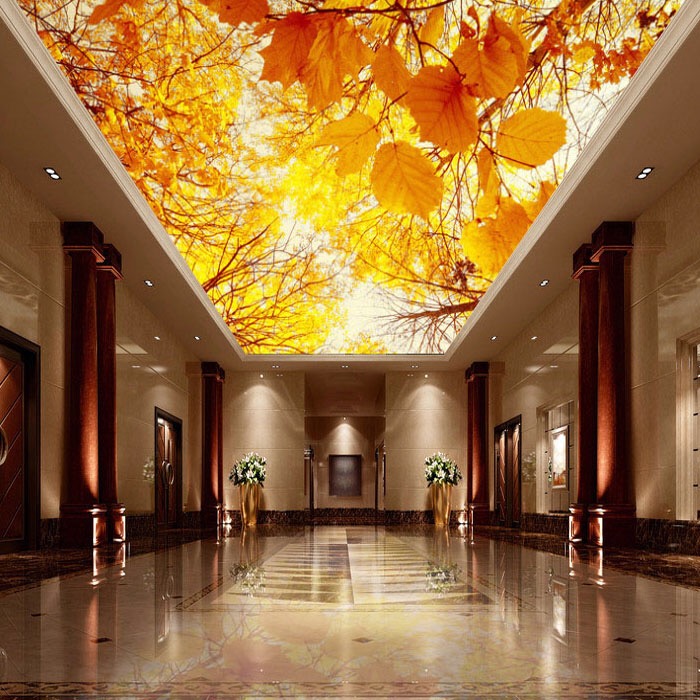 Shanghai Uv Soft Film Ceiling Decoration Decorative Light Shanghai Uv Soft Film Ceiling Decoration Decorative Light Construction Card Cloth Ultra Thin Box