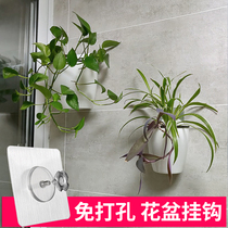 Flower-pot hanging wall sticker free of punch decorative painting fixer clock powerful no-mark viscose hanging wall-style transparent hanger