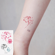 Little fresh sexy makeup color plotting wrist arm red black lotus lotus lotus tattooed waterproof male and female W040