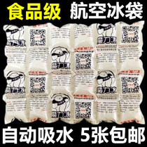 24-grid biological Air ice pack seafood fruit food Cherry fresh refrigerated Aviation self-absorbent dry ice pack ice pack