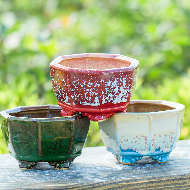 (Bang Yong Shangpin) Small fresh coarse pottery succulents flower pot Korean white light star anise Qunsheng Dongyun breathable control