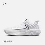 Официальные мужские баскетбольные кроссовки Nike GIANNIS IMMORTALITY 4 FQ3681