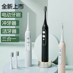 Electric Toothbrush and Dental Rinser Two-In-One Smart Three-In-One Waterproof Magnetic Levitation Sonic Toothbrush Integrated Dental Rinser