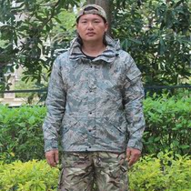 US non-military version USAF tabby camouflage TACS-OPS waterproof and moisture-proof PARKA windbreaker coat SR yards
