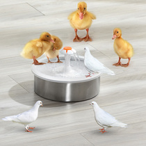 Bird water dispenser automatic circulation filter pet smart cat and dog water dispenser flow feeding birdfountain