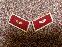 55 the leading chapter of the 55-style essay and work group