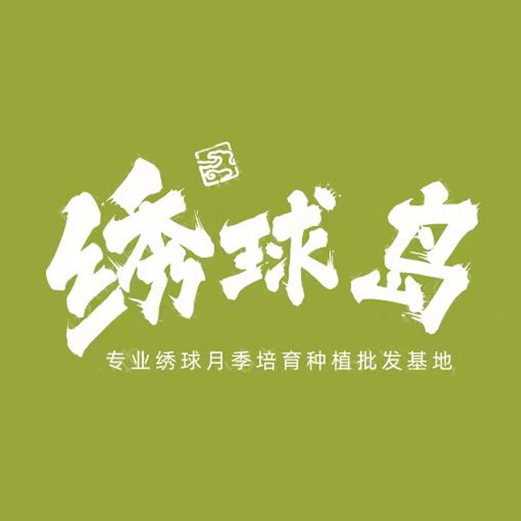 绣球岛 绣球种植批发基地