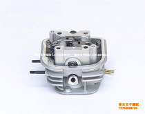 Apply the V Yue QJ110T-11A Baoyue QJ110T-8 cylinder head assembly upper cylinder head