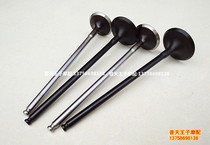 Lanbaolong BJ300GS BJ500GS-A 500 valve intake valve exhaust valve valve oil seal locking block