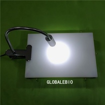 Large and mouse operating table dissection table experimental small animal operating table mouse fixed table operating table lamp heating pad