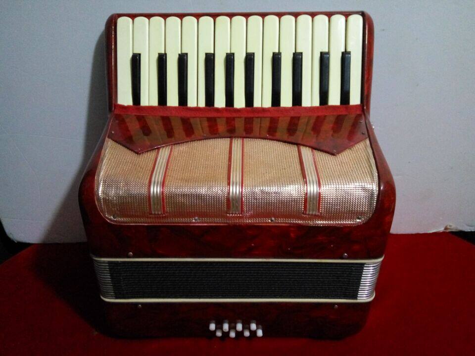 25 keys Big 8 Bass Old Parrot Accordion