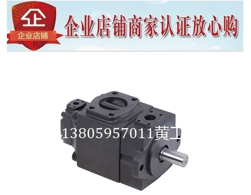 Hongyi Leaf Pump Pv2r12-33/04 06 08 10 12 14 17 19 23 25 28