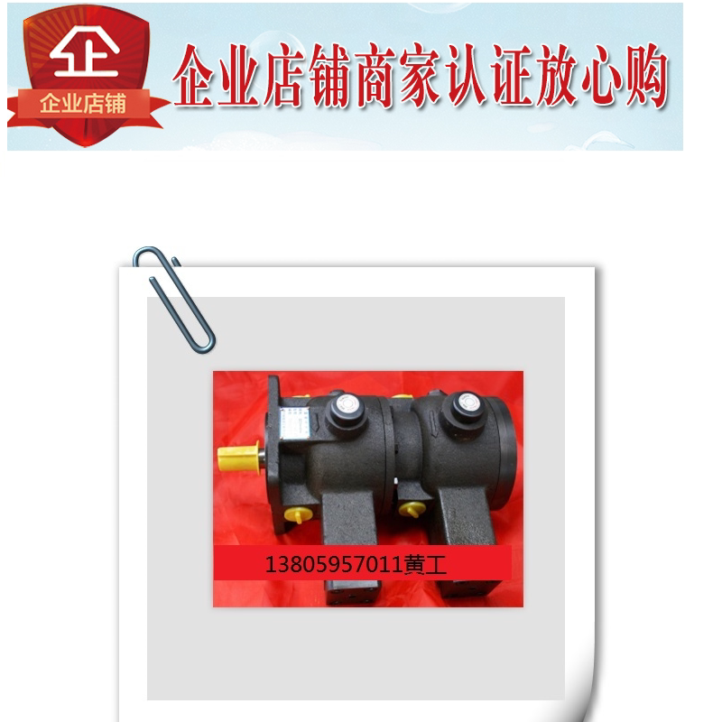 Great Wall hydraulic quantitative oil pump TY03-12 TY03-18 TY03-25 TY03-35 TY04-5 5