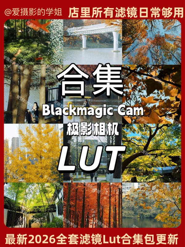 Blackmagic Camera Latest Full Set of Filter Color Grading Presets Lut Collection (Including Updates)