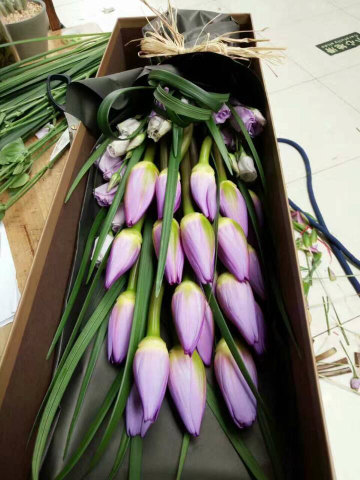 Teachers' Day Hangzhou flowers express 19 Dsleeping lotus flower gift box sleeping lotus with a 