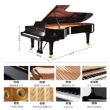 Канал -фантомная серия концертного треугольника фортепиано