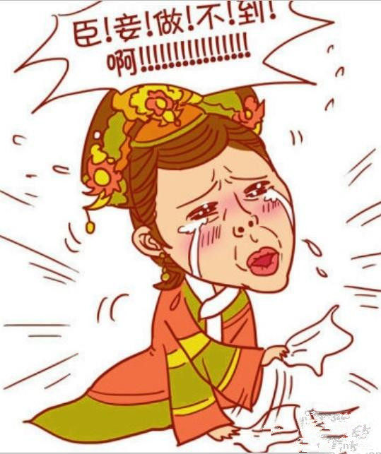 Câble extension USB - Ref 436867 Image 9