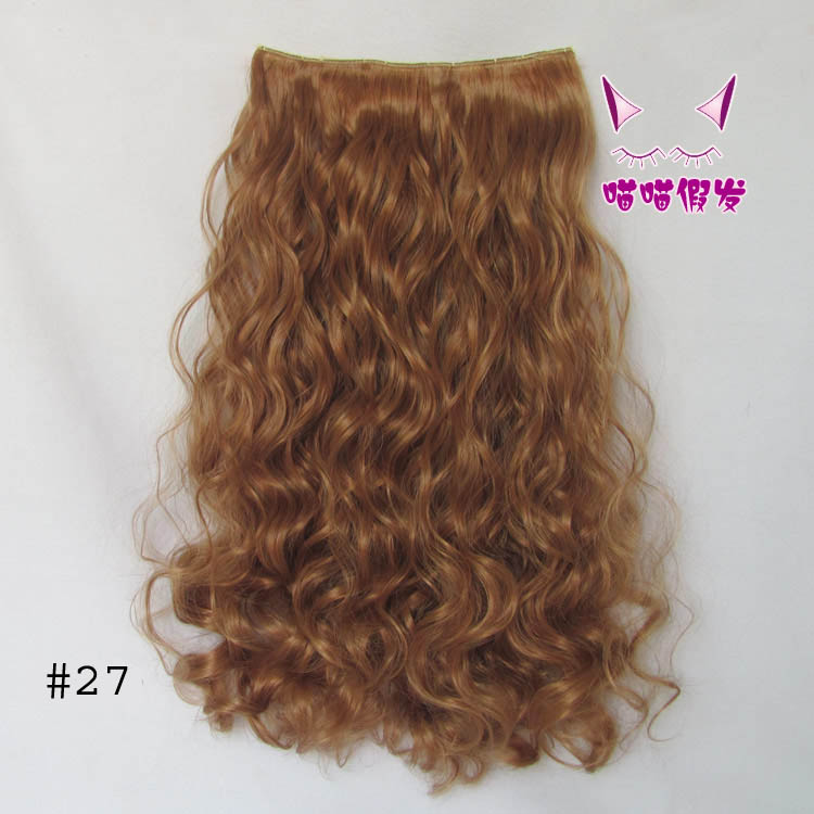 Extension cheveux - Ref 220408 Image 19