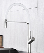 RAL winner spring hose kitchen faucet Kitchen spring universal faucet double outlet mode