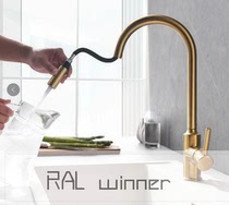 Nordic RAL Winner Triumph New Kitchenette Pumping Pull Tap Drawing Gold Silent Dragon Head