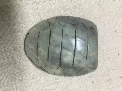 Turtle Shell 17-Hongshan Culture War Han Liao Jin Ming and Qing Jade Jade River Mo Jade Ancient Jade Old Jade Old Jade