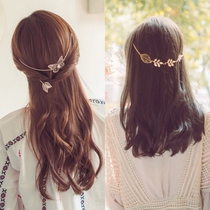 South Koreas new Korean version of flowers flower branches Elegant Butterfly flower leaves hair band hairhairclip headband headband headband headband