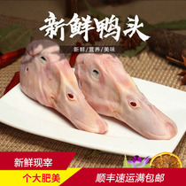 Duck head duck brain shell large duck head raw duck head Spicy Dry Pan Duck Head 500 gr Sichuan Chongqing Fresh Shunfeng Distribution