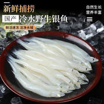 Big Silver Fish Taihu Hotpot Silver Fish Fresh Organic Noodle Fish White Rice Fish Hot Pot Ingredients Baby Cofoods