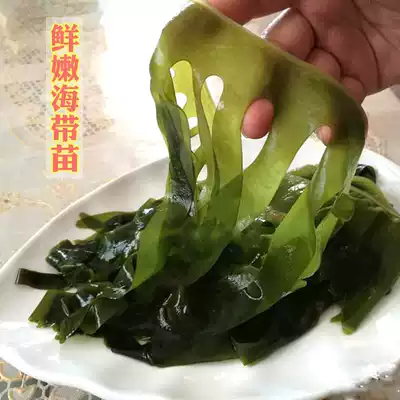 Kelp seedlings seaweed Bud salt pickled kelp seedlings hot three seconds Hague dish 150g pot ingredients Sichuan hot pot distribution