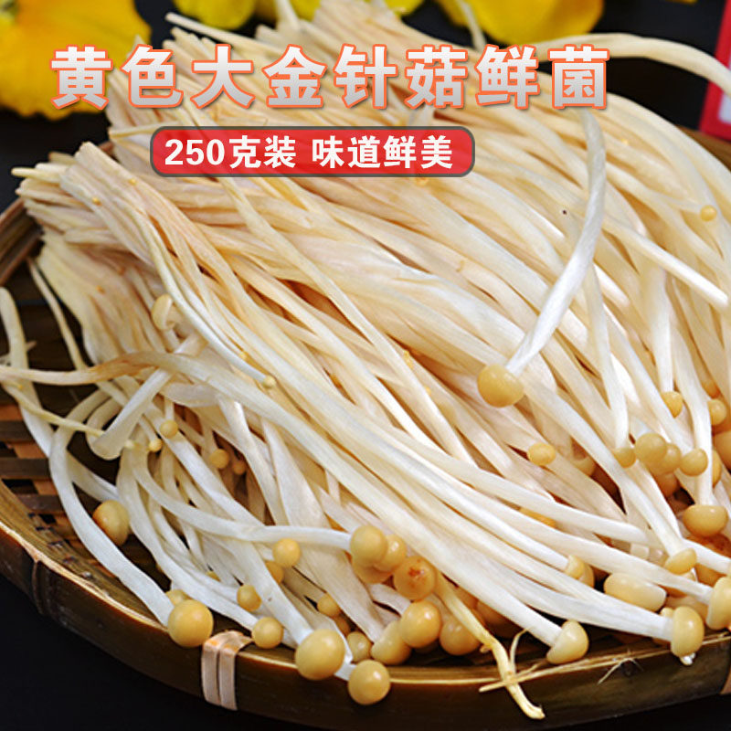 Hot Pot Ingredients Golden Needle Mushrooms Fresh Edible Mushroom Fresh Fungus Sichuan Hot Pot Ingredients Yellow Golden Needle Mushrooms 250 gr
