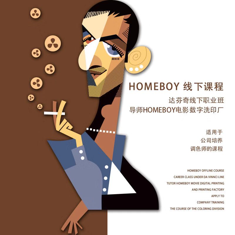 HOMEBOY Cinema Color Company Da Vinci Software Training Career Class Learning