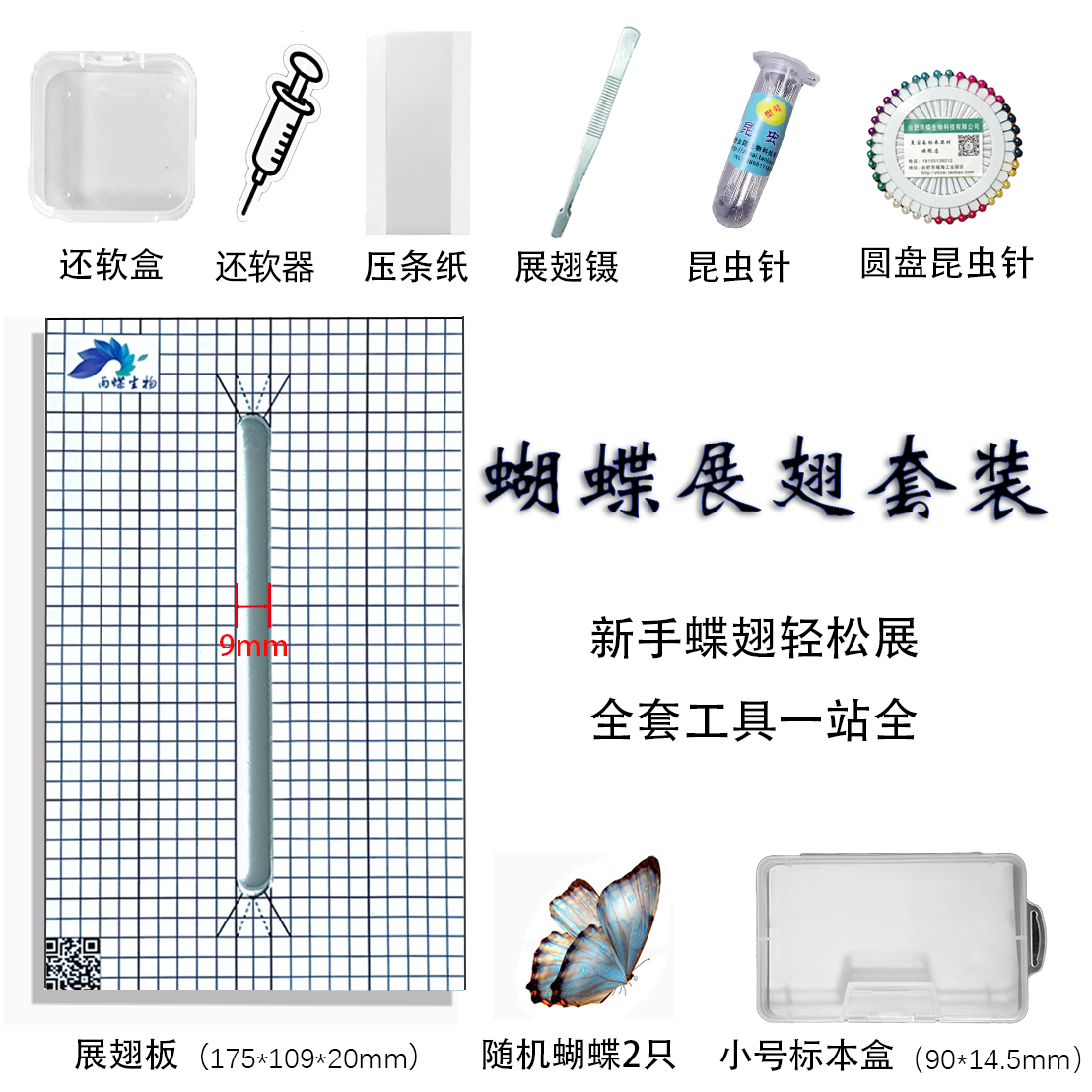 展翅板套装展翅板带网格定位线展翅板昆虫标本制作工具套装diy