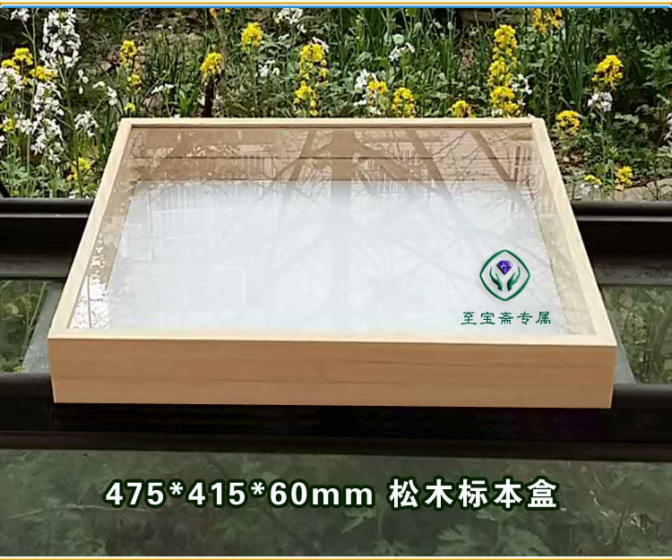 475x415x60mm 松木标本盒 台纸 标本夹 整姿台 内配插针板 可开票