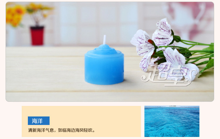 Bougie - Ref 2487937 Image 20