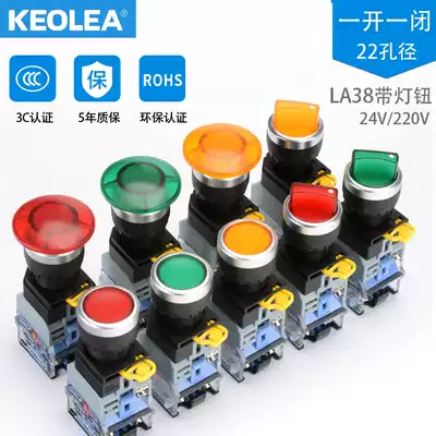 With light button switch 22 self-locking reset flat head jog switch 24 220V red and green start mushroom Knob