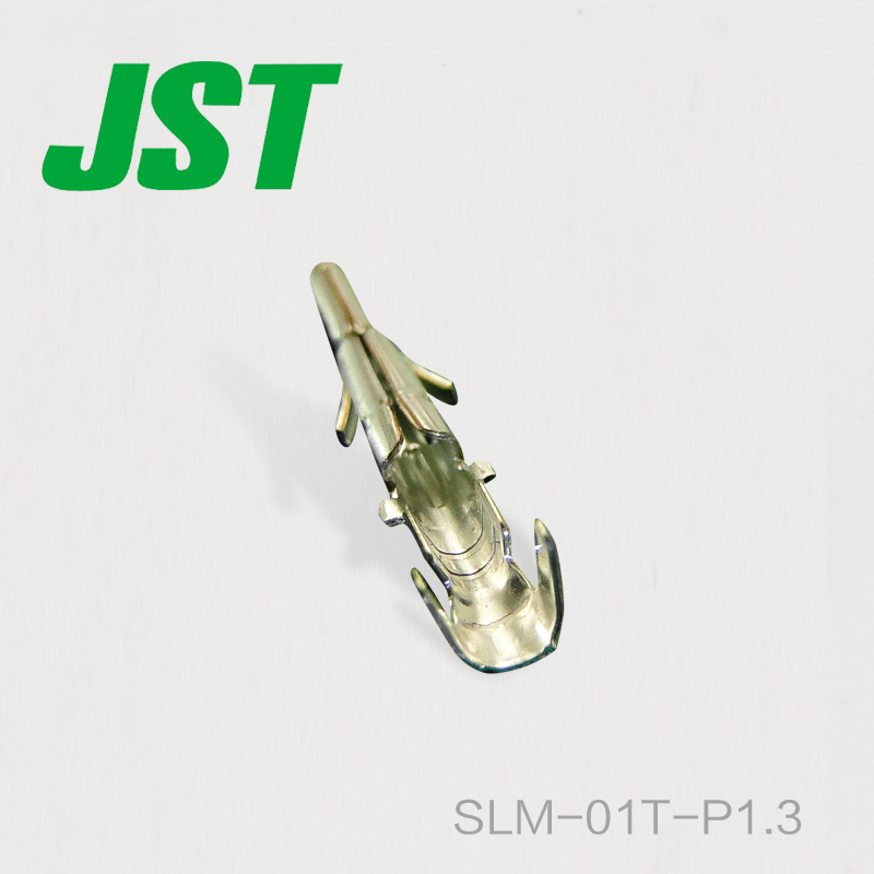 SLM-01T-P1.3