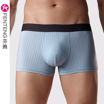 Fentem Mens Briefs Male Pure Cotton Gear Flat Corner Pants Breathable Antibacterial no marks Large size Short pants Underpants Cotton Four Corner Pants Head