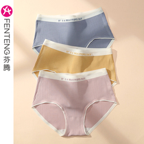 Fentenmodale Briefs Lady Pure Cotton Antibacterial Crotch Mid Waist Cute Spring Summer Thin Pants Head Girl Triangle Pants