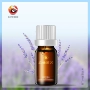 Dầu oải hương rừng Yashe 10ml - Tinh dầu điều trị tinh dầu gừng