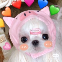 Hand-made Korean imported pet hairpin color matching bb broken hairpin Maltese Yorkshire Xishi