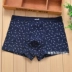 Shanuya đồ lót nam boxer lycra cotton cotton cotton boxer MNK quần short nam 33410 Nam giới