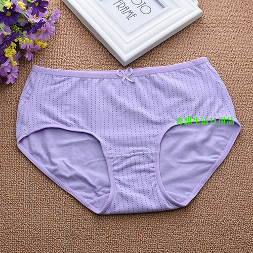 Quần lót boxer nhỏ của cô Shanua Quần cotton Lycra thoải mái và thoáng khí thời trang Đồ lót nữ MNK 36933 đồ lót nam jockey