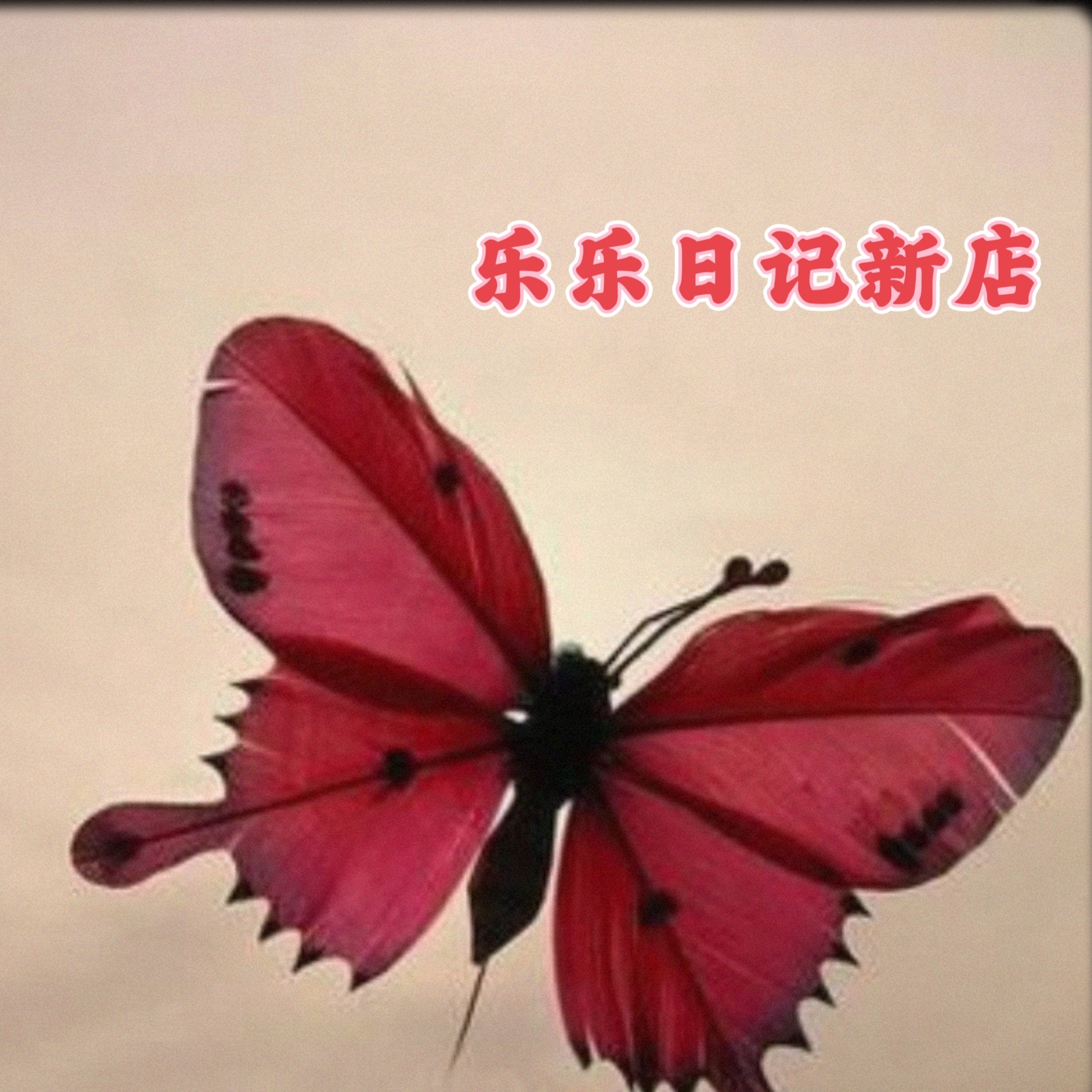 乐乐日记新店