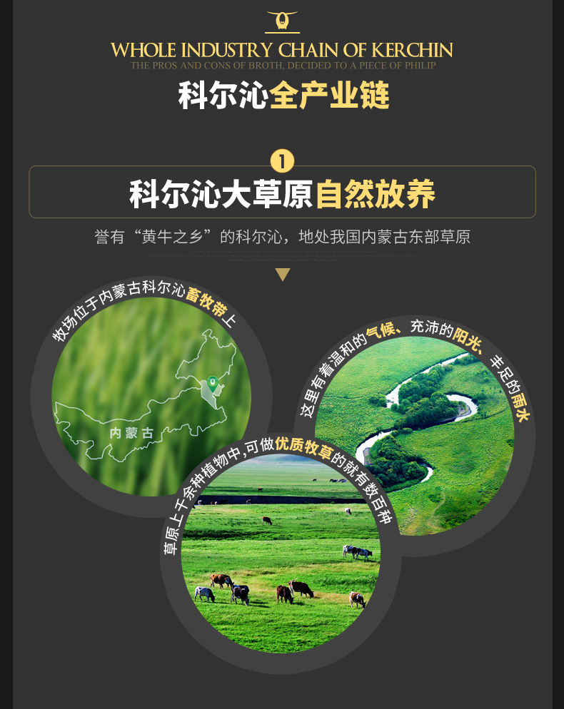 世界肉类组织会员企业 科尔沁 卤汁牛肉 230g*2袋 图3
