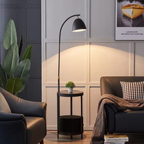 Nordic Living Room Tea Table Charging Shelf Floor Lamp Light Lavish Bedroom Bed Head Cabinet Integrated Extremely Simple Floor Table Lamp